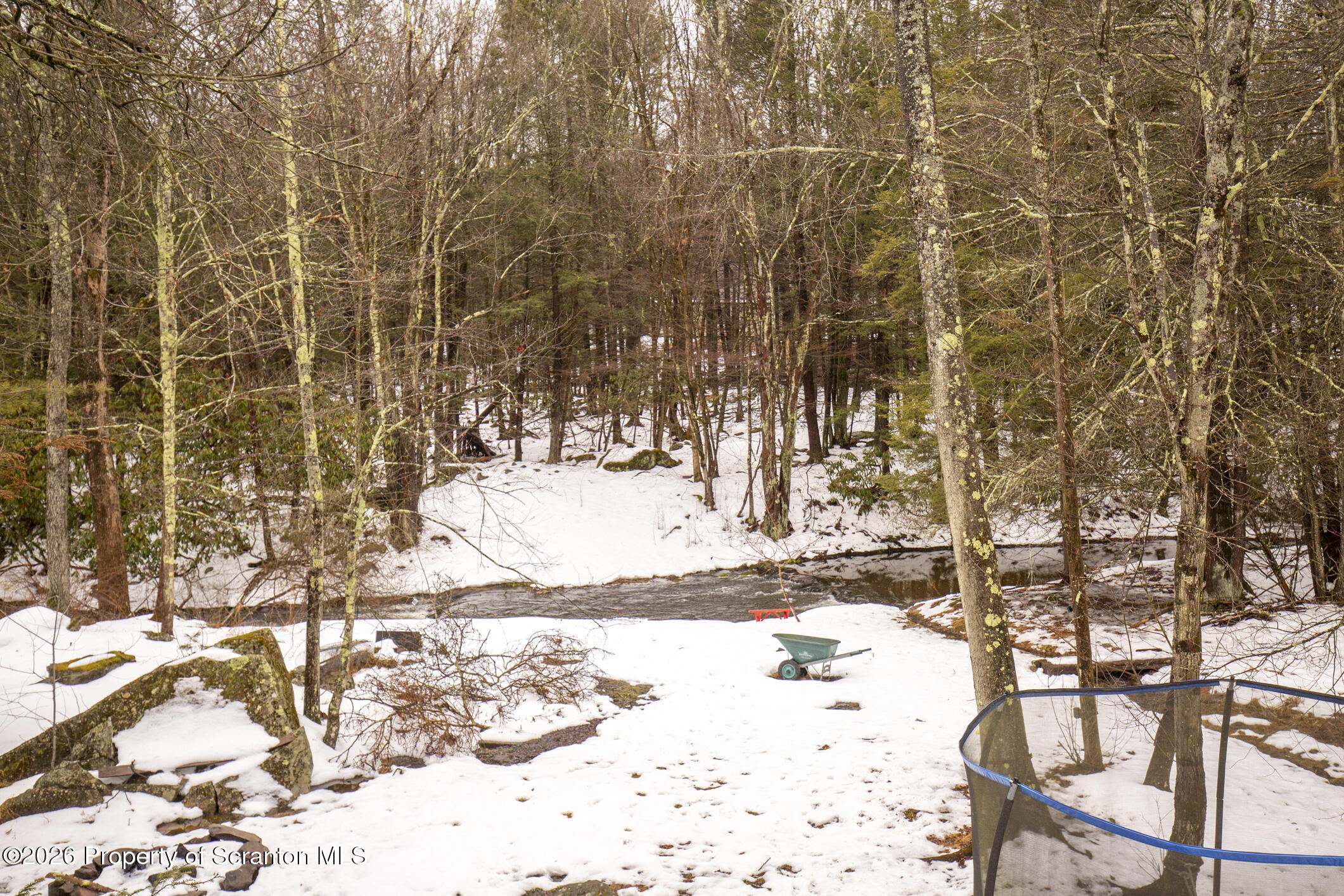 1290 Brookfield Road Lake Ariel, PA 18436 - Photo 11 of 47 a view of outdoor space yard and patio
