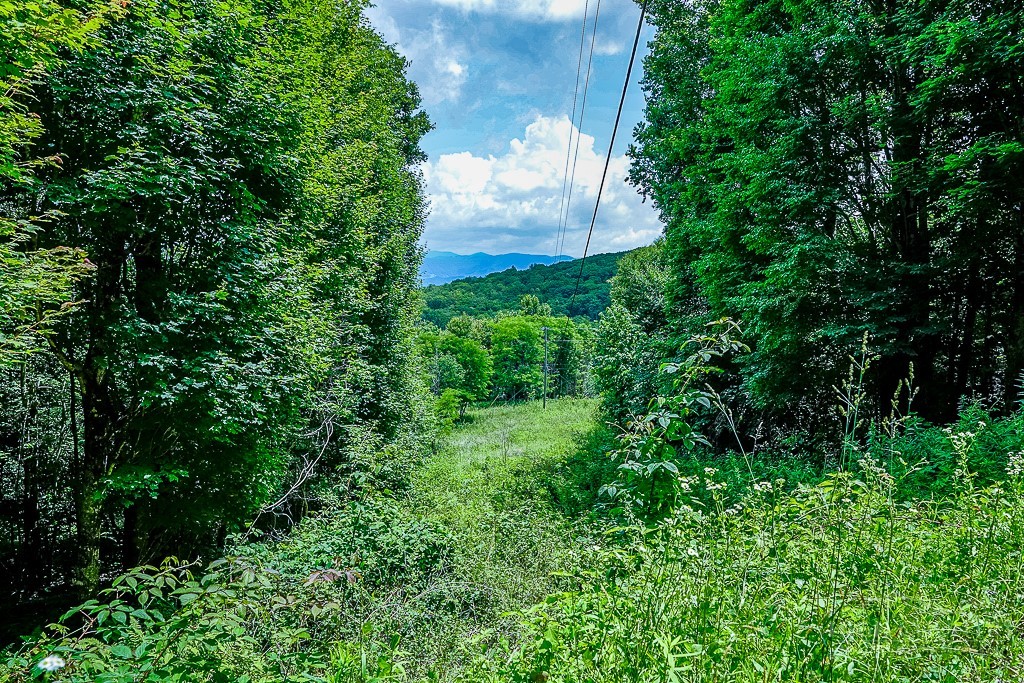 218 Old Mountain Road Banner Elk, NC 28604 - Photo 8 of 34 Gallery Image 8
