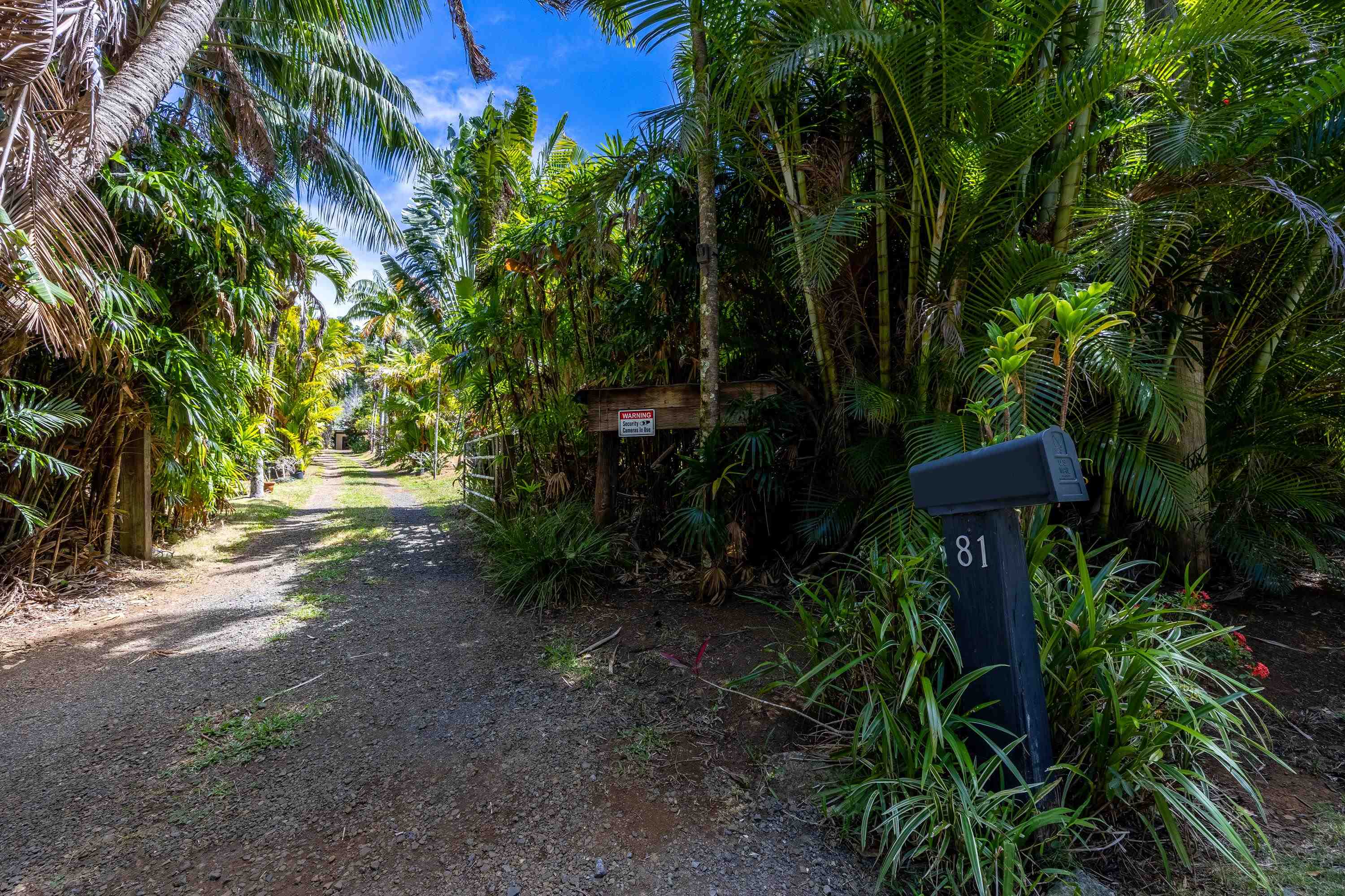81 Kapuai Road Haiku, HI 96708 - Photo 2 of 50 a view of outdoor space and yard
