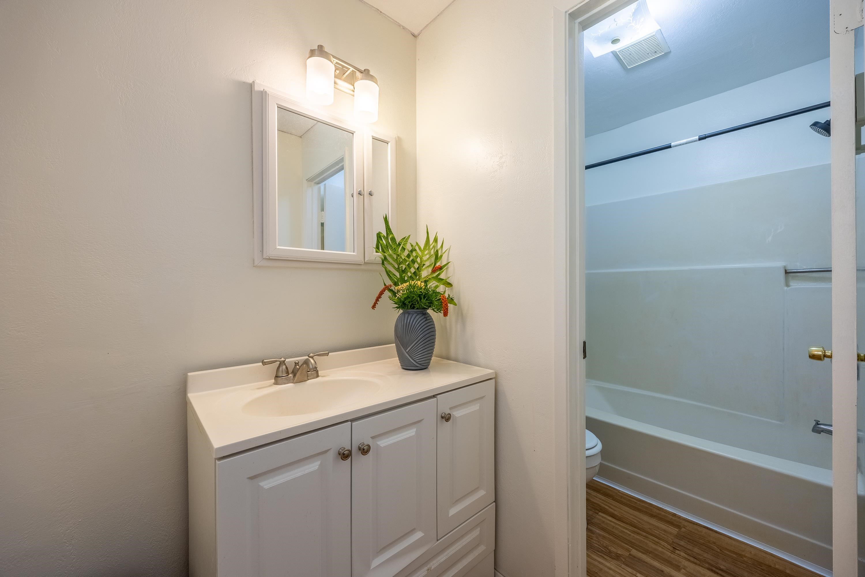 81 Kapuai Road Haiku, HI 96708 - Photo 28 of 50 a bathroom with a sink a vanity and a mirror
