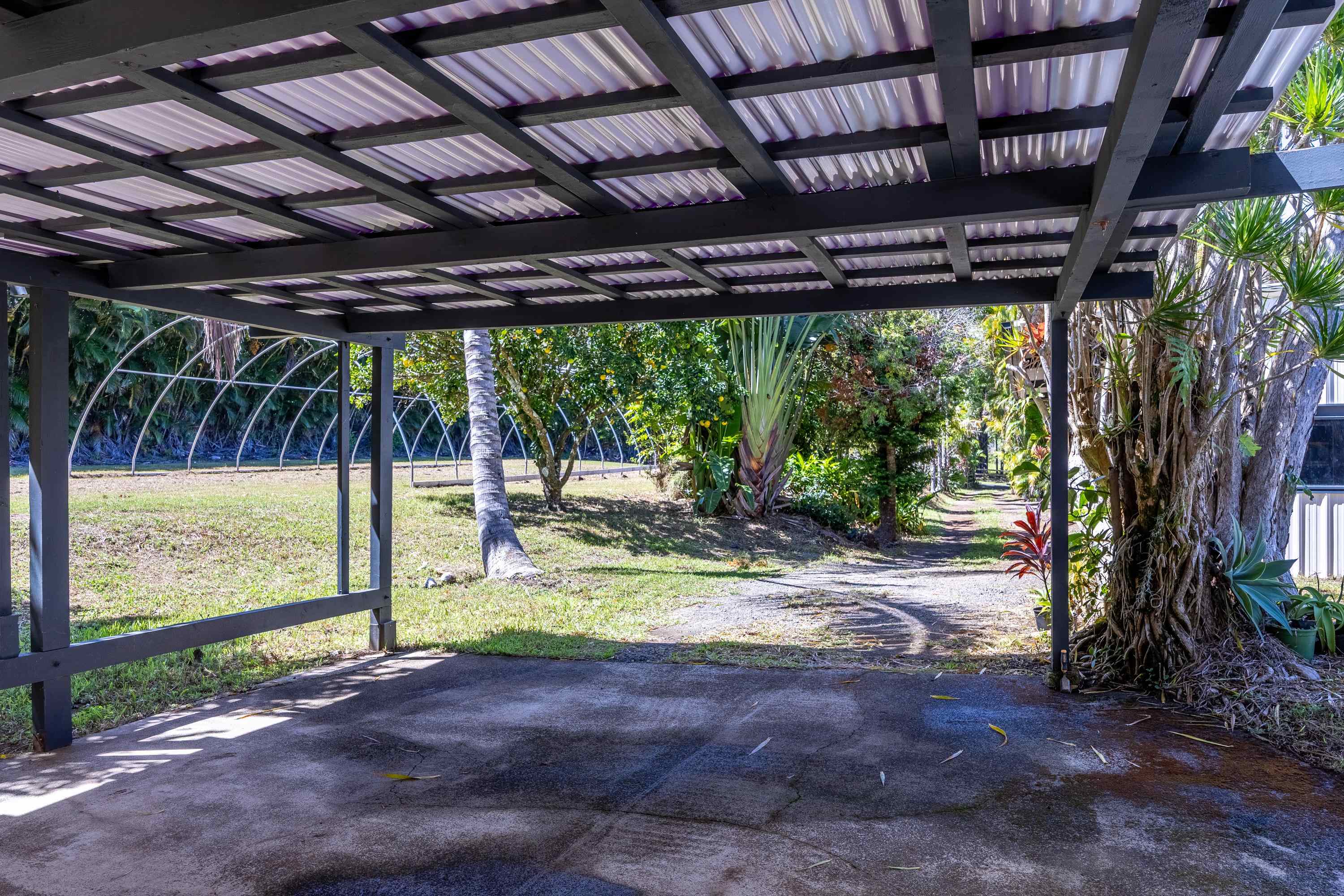 81 Kapuai Road Haiku, HI 96708 - Photo 31 of 50 a view of a backyard with a large tree