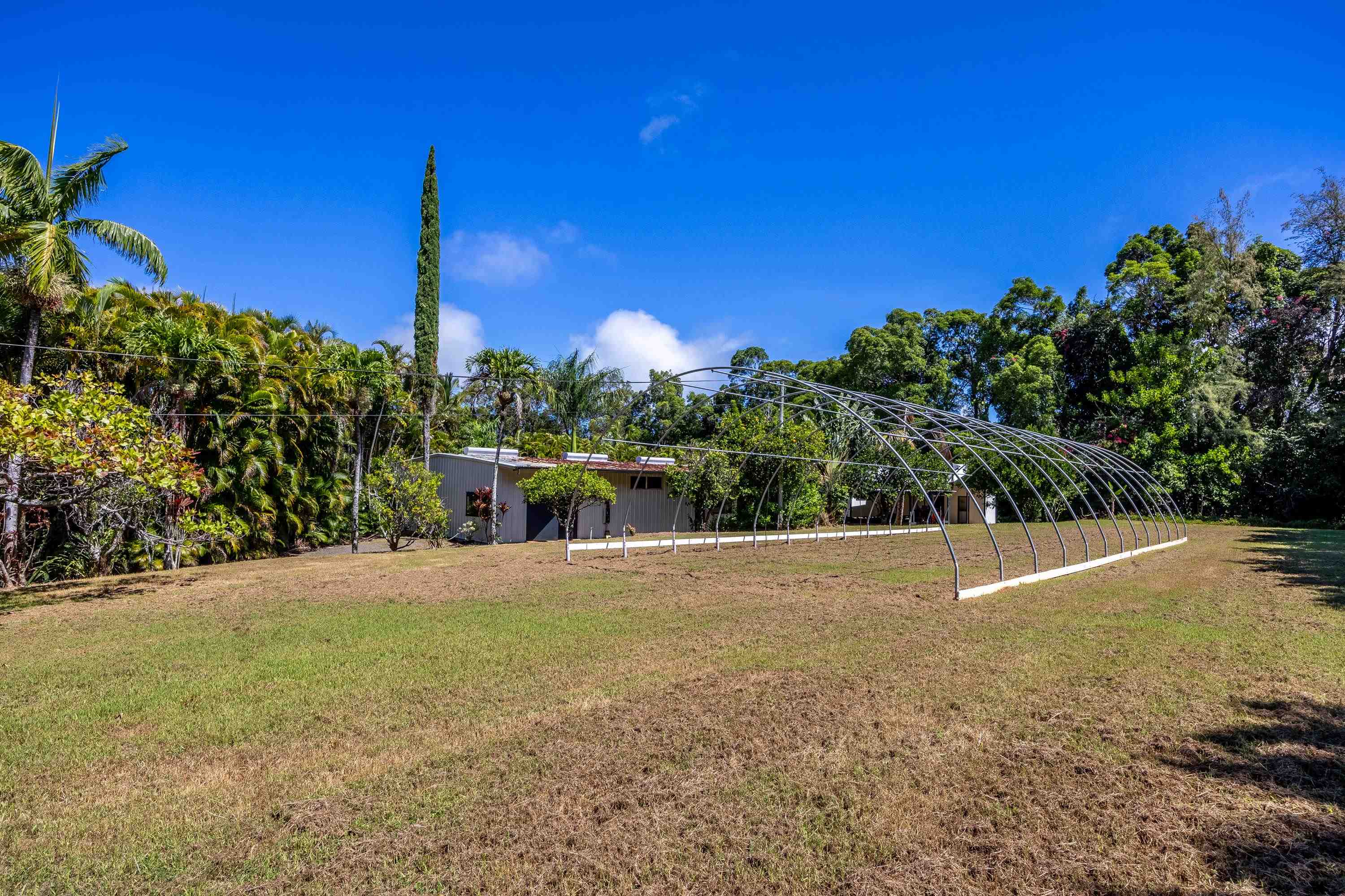81 Kapuai Road Haiku, HI 96708 - Photo 35 of 50 a view of a field with a tree in the background
