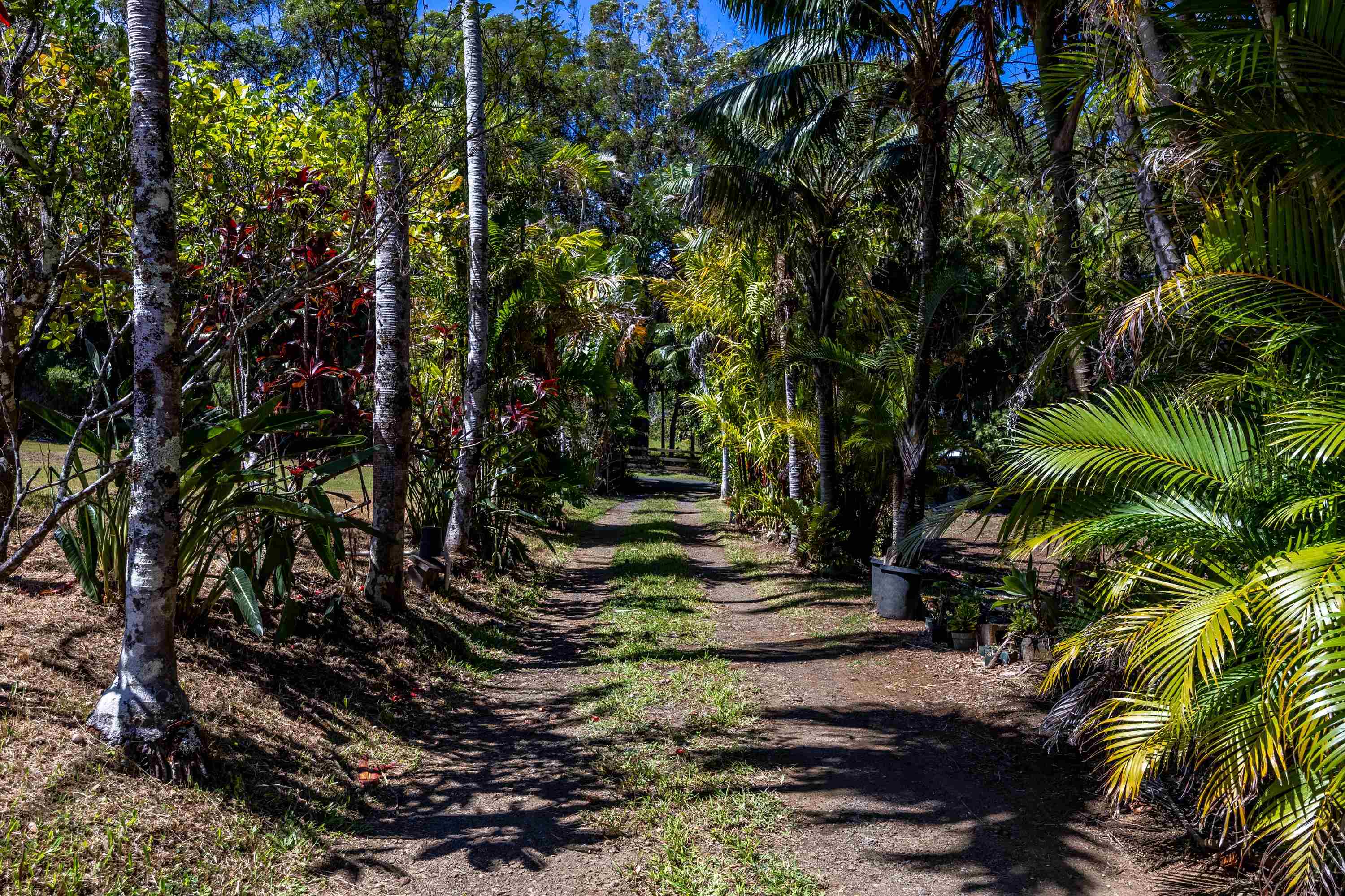 81 Kapuai Road Haiku, HI 96708 - Photo 4 of 50 a view of outdoor space