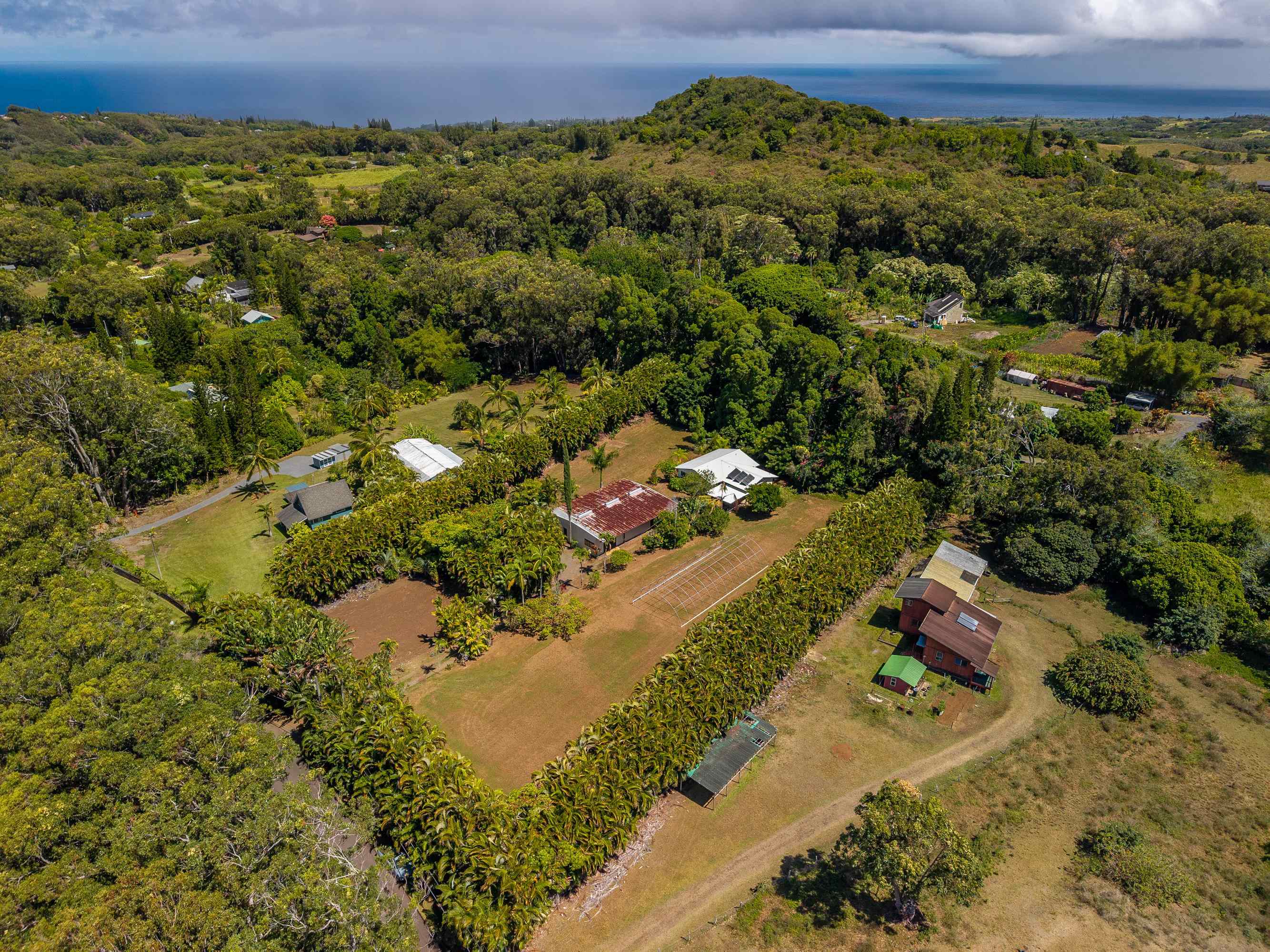 81 Kapuai Road Haiku, HI 96708 - Photo 45 of 50 an aerial view of a houses with a yard