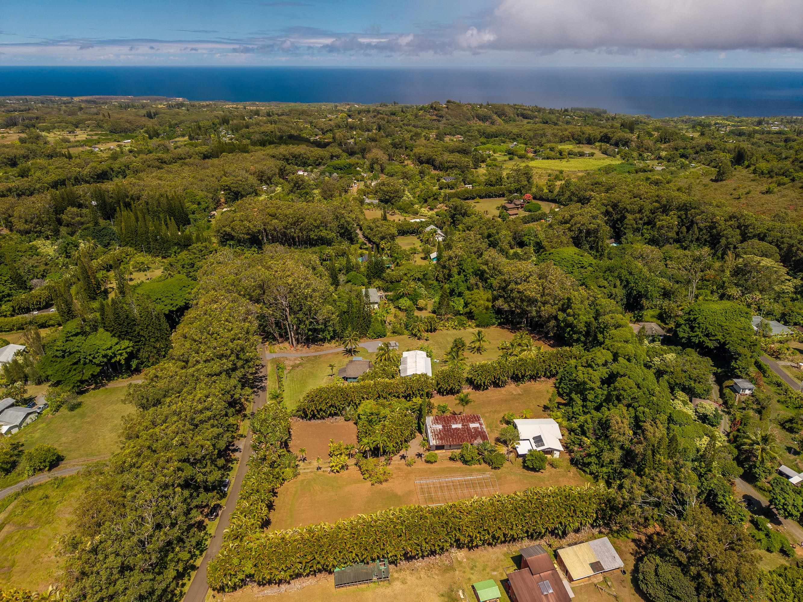 81 Kapuai Road Haiku, HI 96708 - Photo 50 of 50 an aerial view of residential houses with outdoor space
