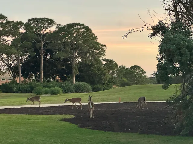 a sign that is on the side of the road