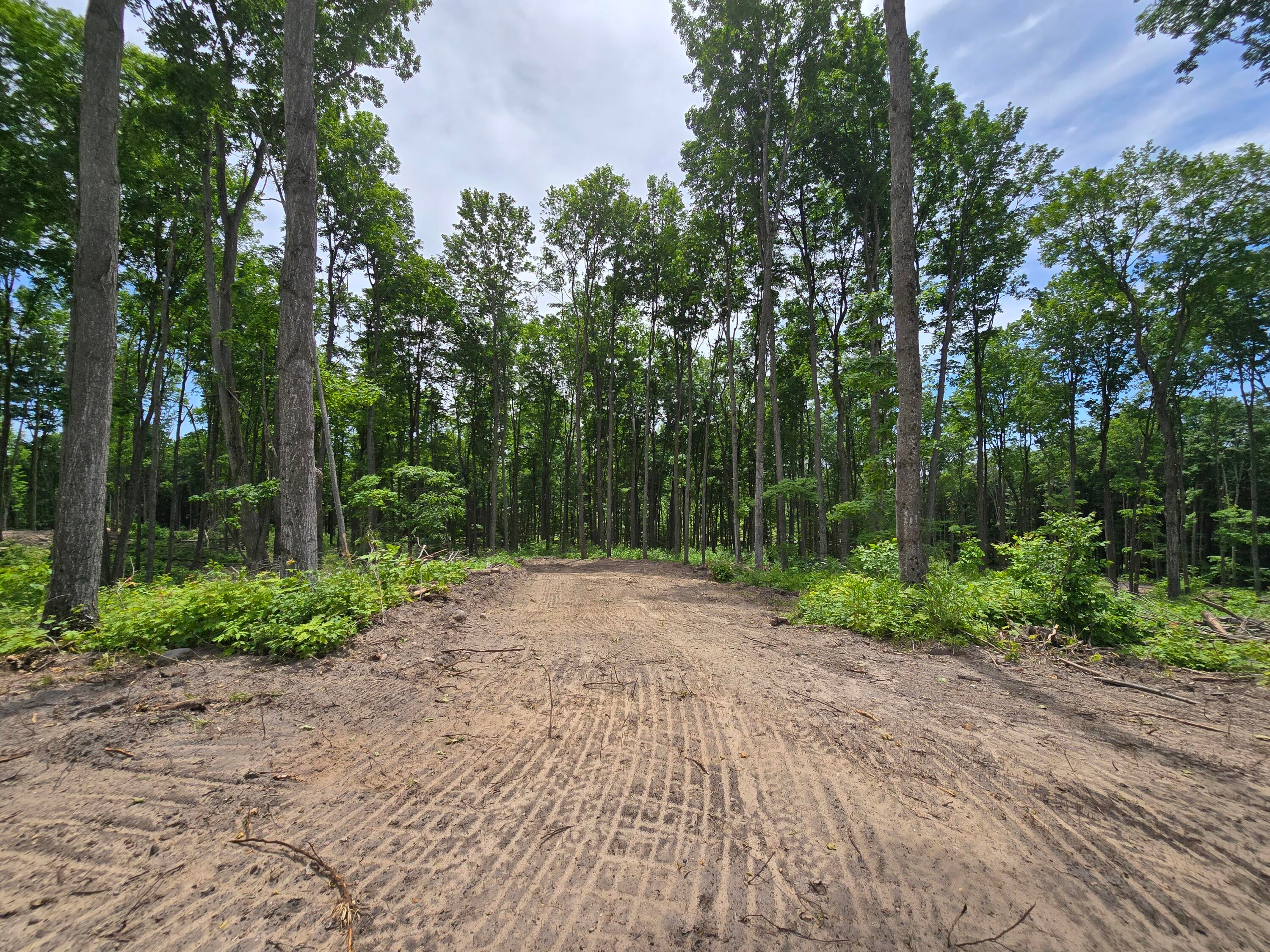 East Old State Road East Jordan, MI 49727 - Photo 29 of 57