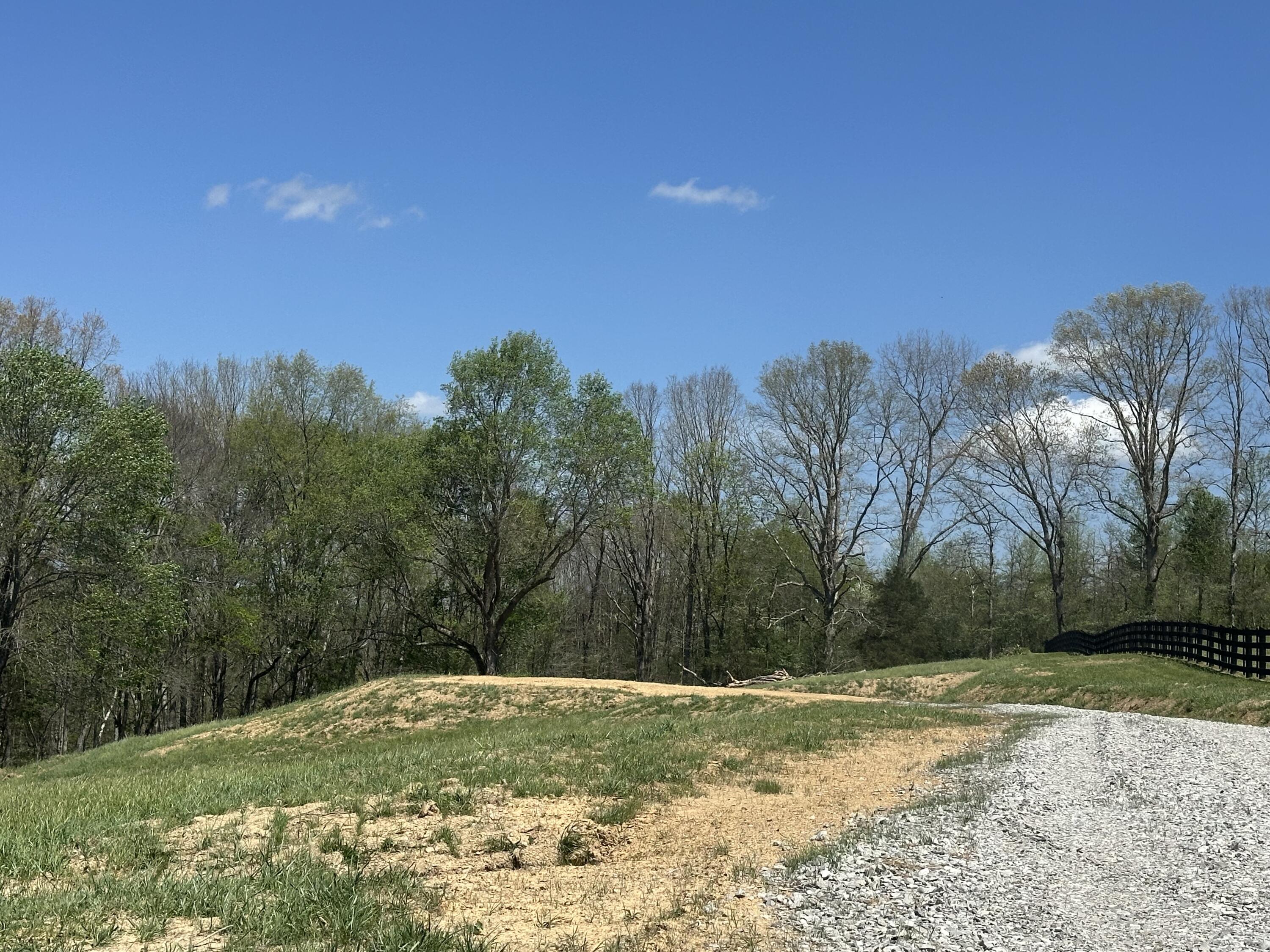 Lot 2 Baldwin Road McKee, KY 40447 - Photo 42 of 45 IMG_8520