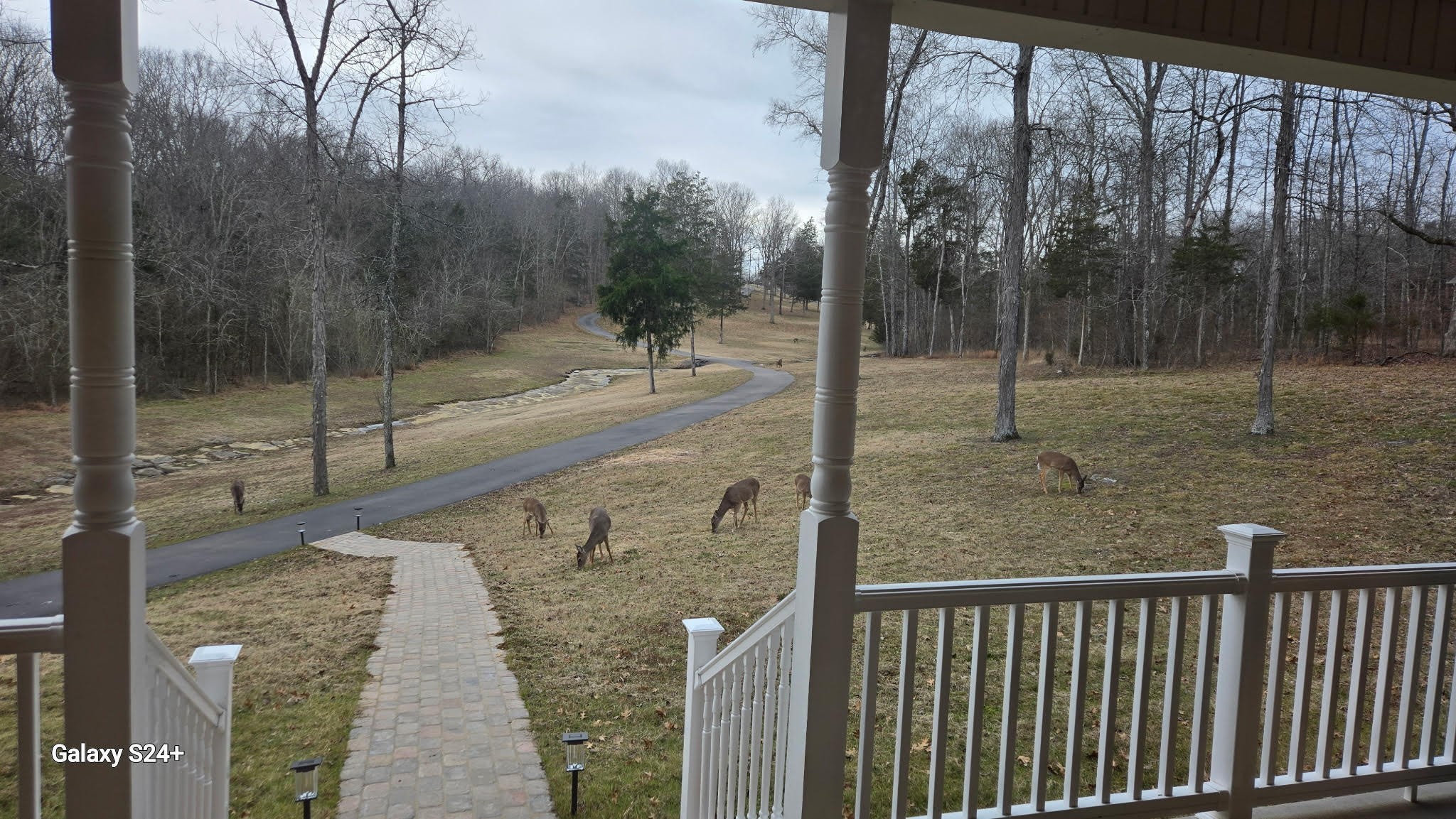 379 Gilley Road Mount Juliet, TN 37122 - Photo 63 of 66 Gallery Image 63