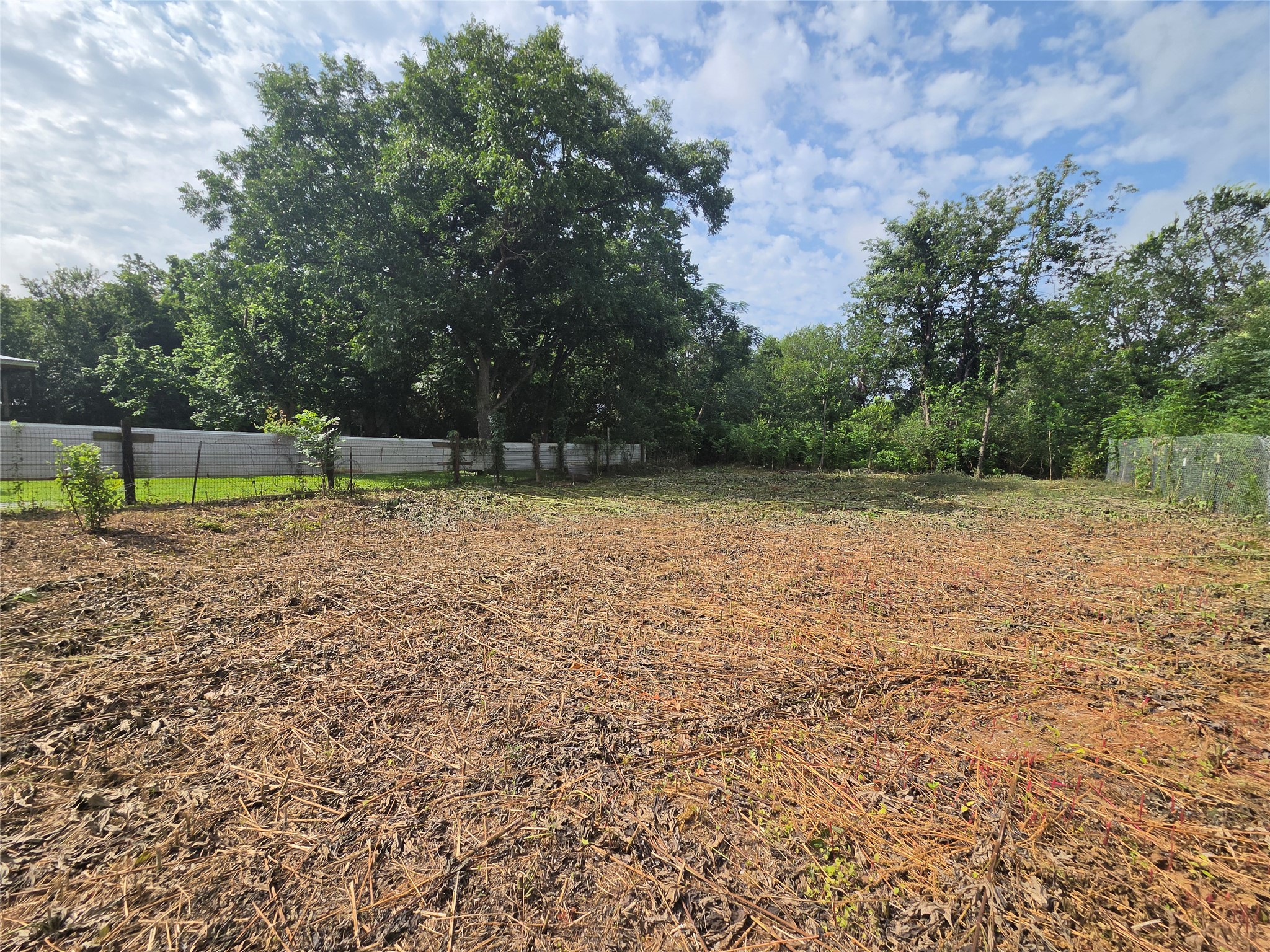 327 Houston Street Elgin, TX 78621 - Photo 3 of 7 A spacious, cleared lot with mature trees and a private fence, ready for development.