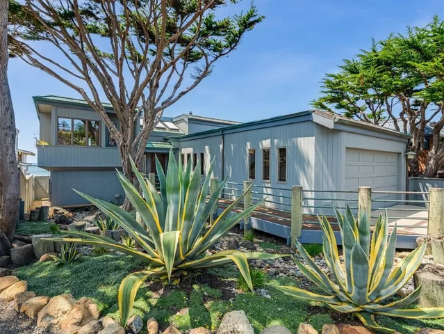 a view of a backyard with plants
