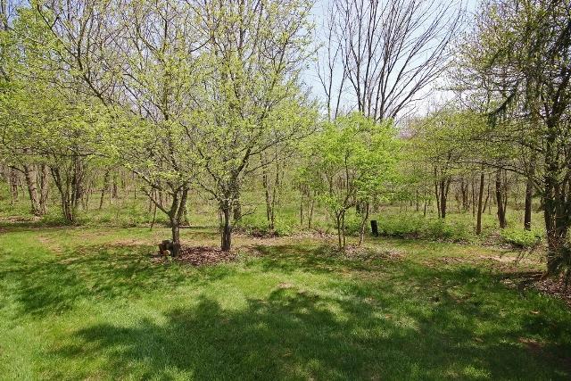 6827 Ludwig-Dresback Road Circleville, OH 43113 - Photo 38 of 43 Gallery Image 38
