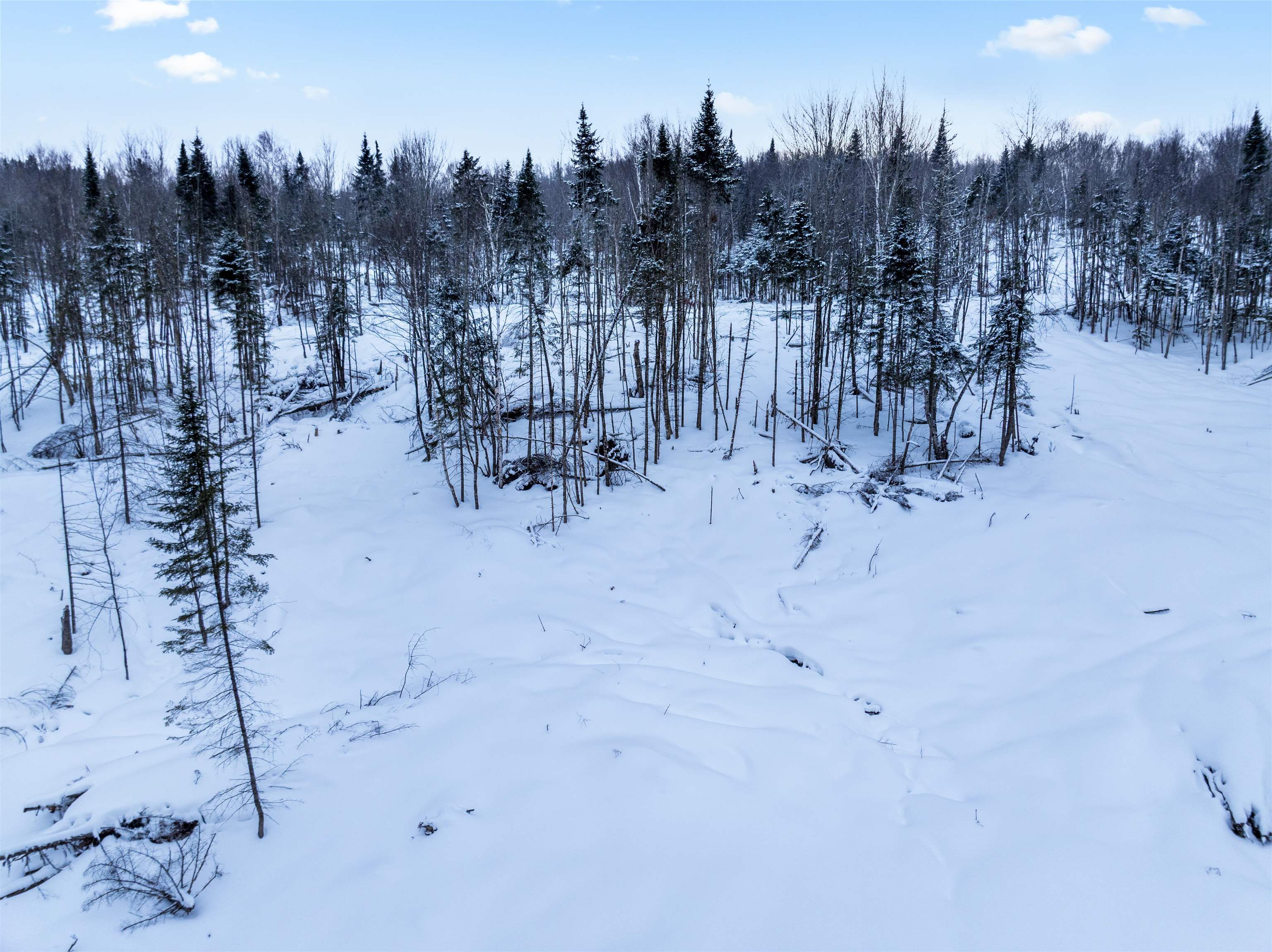 Tbd Tabor Road Pittsburg, NH 03592 - Photo 38 of 41