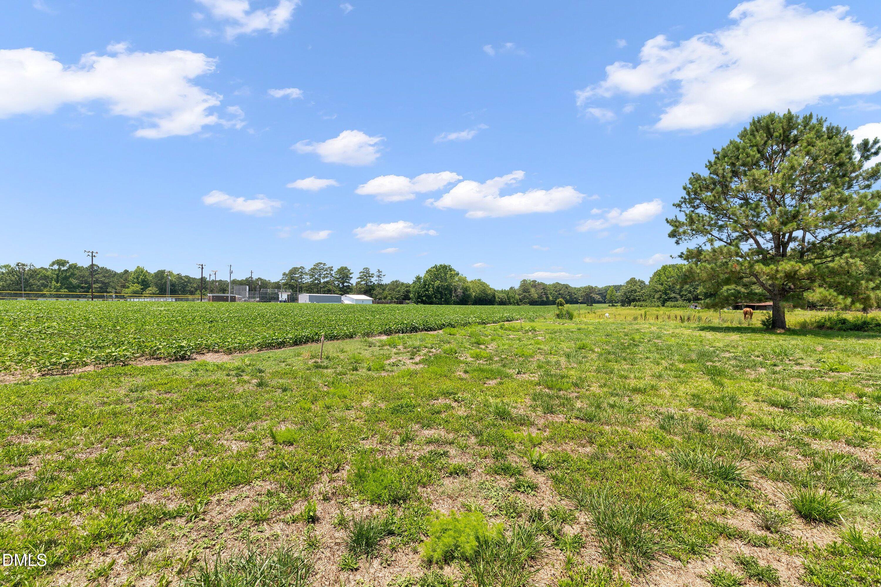 1555 Beulahtown Road Kenly, NC 27542 - Photo 27 of 35 28-1555 Beulahtown Rd_0176