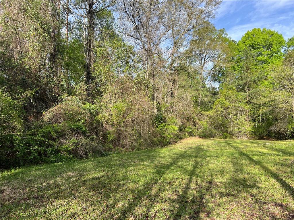 0 M C M C Richey Road Ball, LA 71405 - Photo 2 of 5 Gallery Image 2