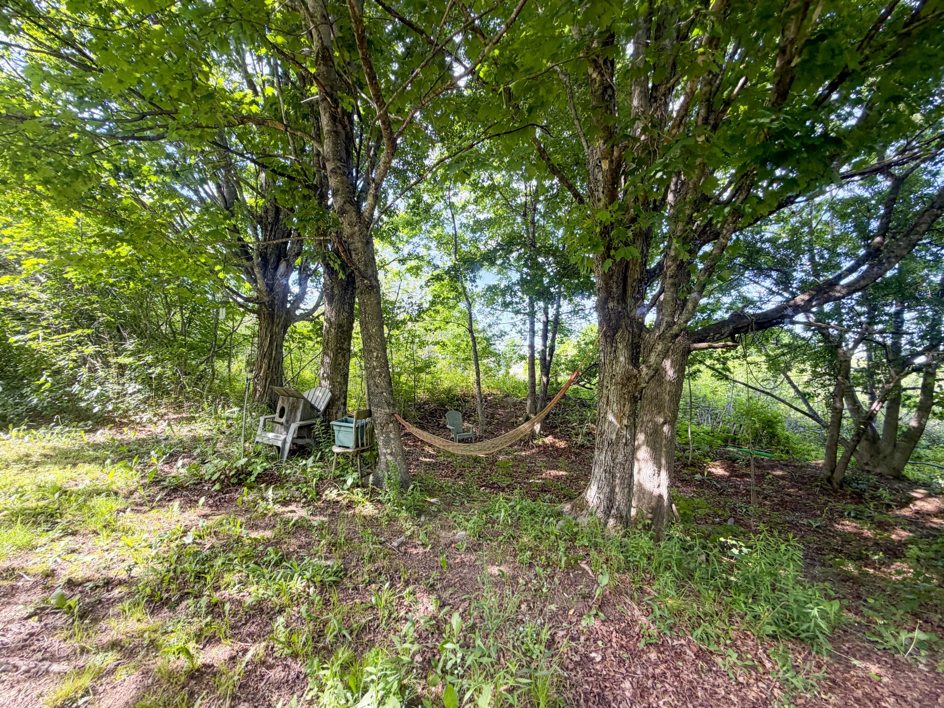 39 Jacksonville Road East Machias, ME 04630 - Photo 16 of 17