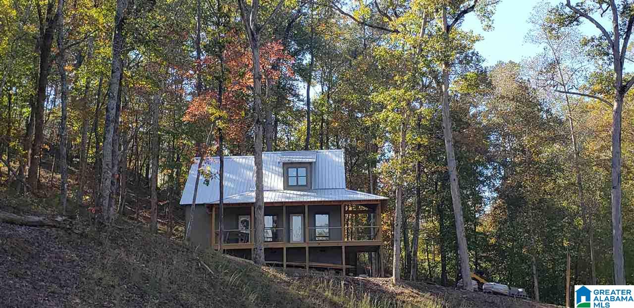 907 Preserve Road Rockford, AL 35136 - Photo 39 of 45