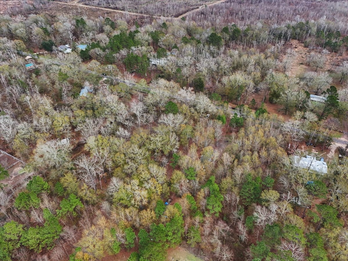 1209 County Road 2145 Cleveland, TX 77327 - Photo 12 of 17 a view of a forest with lots of trees
