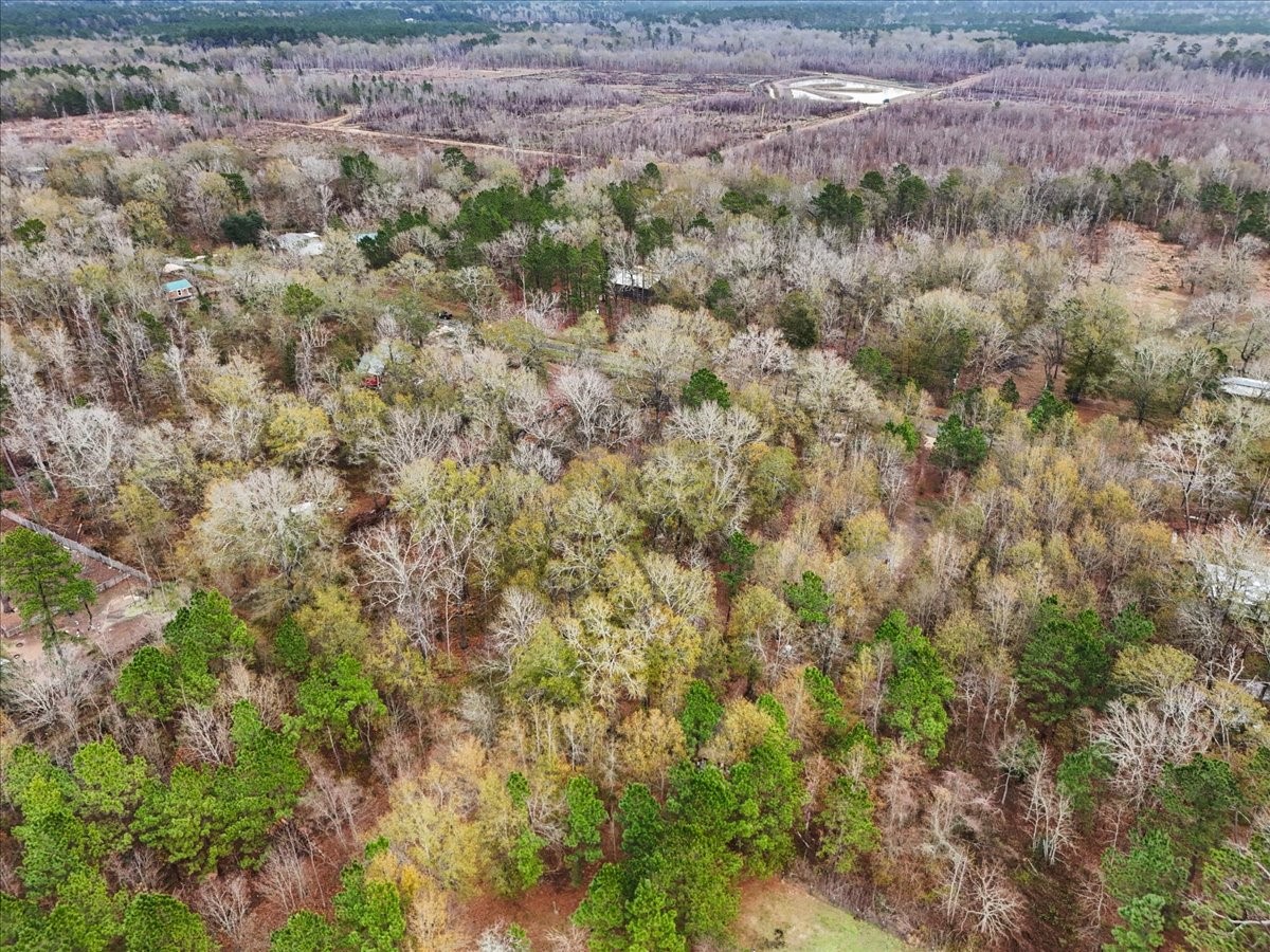 1209 County Road 2145 Cleveland, TX 77327 - Photo 15 of 17 a view of a field