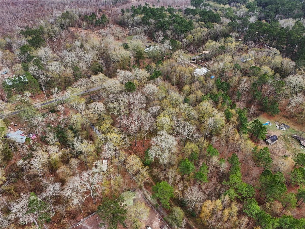 1209 County Road 2145 Cleveland, TX 77327 - Photo 16 of 17 a view of a field