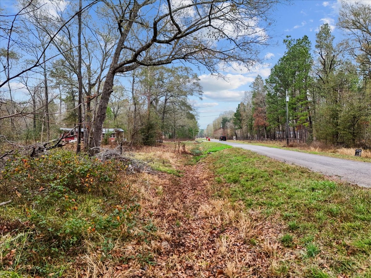 1209 County Road 2145 Cleveland, TX 77327 - Photo 4 of 17 a view of outdoor space with trees