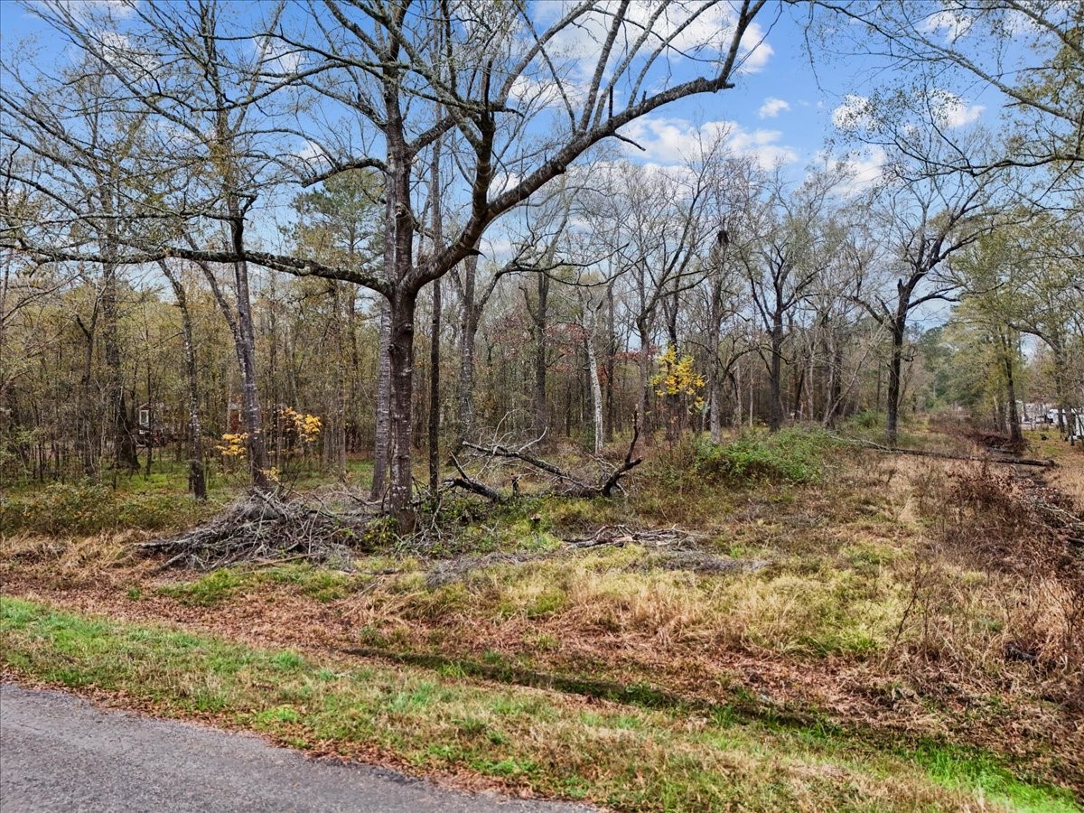 1209 County Road 2145 Cleveland, TX 77327 - Photo 5 of 17 a backyard of a house with lots of green space