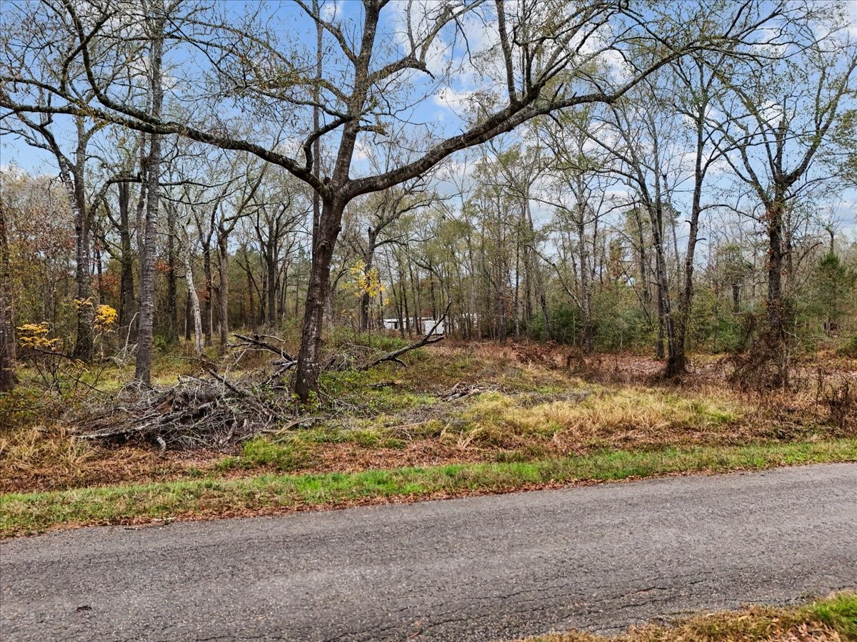 1209 County Road 2145 Cleveland, TX 77327 - Photo 7 of 17 a backyard of a house with lots of green space