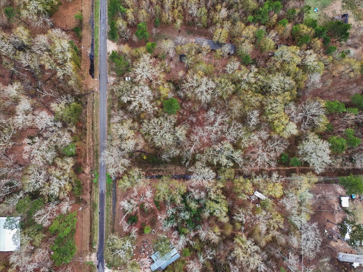 1209 County Road 2145 Cleveland, TX 77327 - Photo 10 of 17 a view of a forest