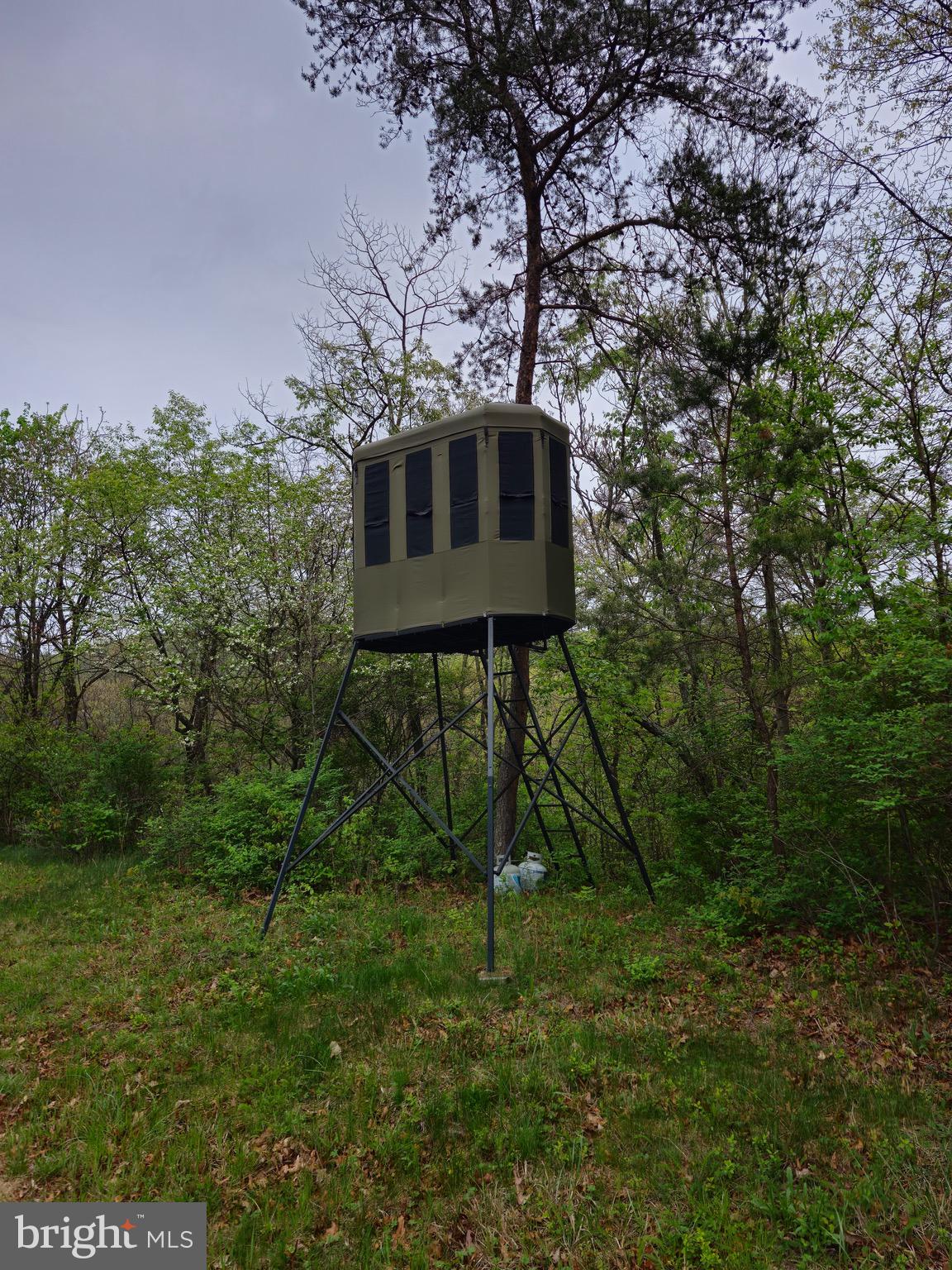 11900 Messick Road Southeast Cumberland, MD 21502 - Photo 59 of 59 Enjoy watching and hunting wildlife here!