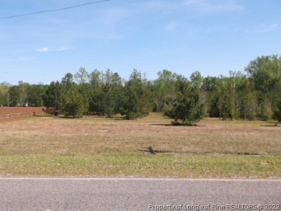 2.3-acre Read Road Cameron, NC 28326 - Photo 1 of 5 Gallery Image 1