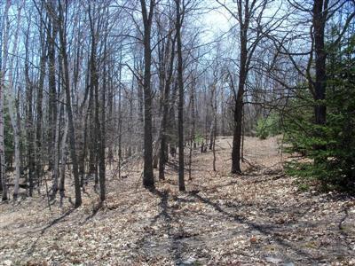 2111 East Koenig Road Free Soil, MI 49411 - Photo 3 of 6 Additional Photo