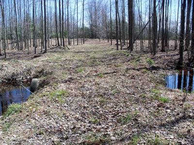2111 East Koenig Road Free Soil, MI 49411 - Photo 5 of 6 Additional Photo
