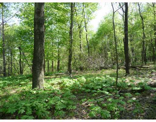 Lot #4 Ridge Road Zelienople, PA 16063 - Photo 1 of 5 Exterior Front. GREAT WOODED LOT READY FOR YOU AND YOUR BUILDER