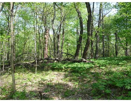 Lot #4 Ridge Road Zelienople, PA 16063 - Photo 4 of 5 Land.