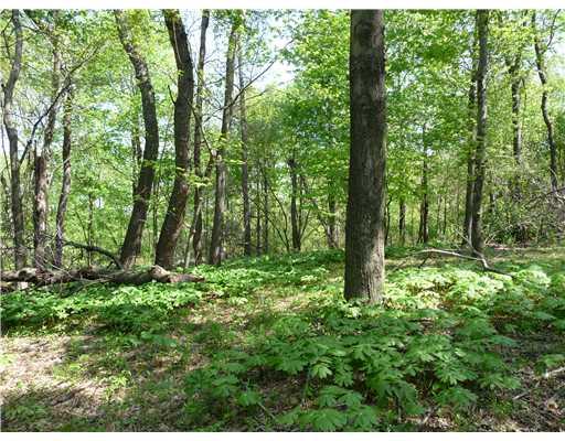 Lot #4 Ridge Road Zelienople, PA 16063 - Photo 5 of 5 Land.