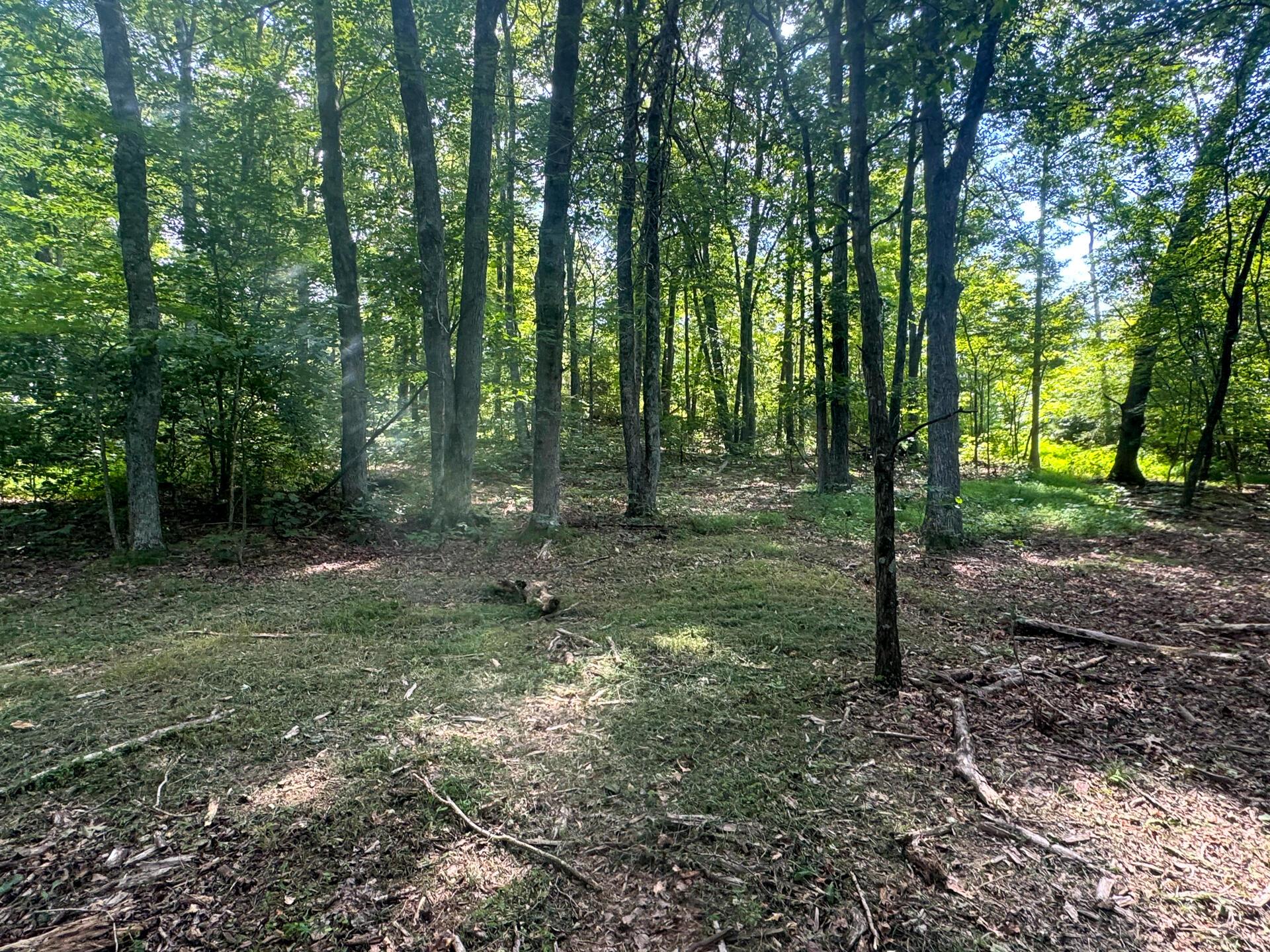 286 Golf Course Road, Unit TRACT 7 SKYLINEACRES) Waverly, OH 45690 - Photo 43 of 46 CT-43