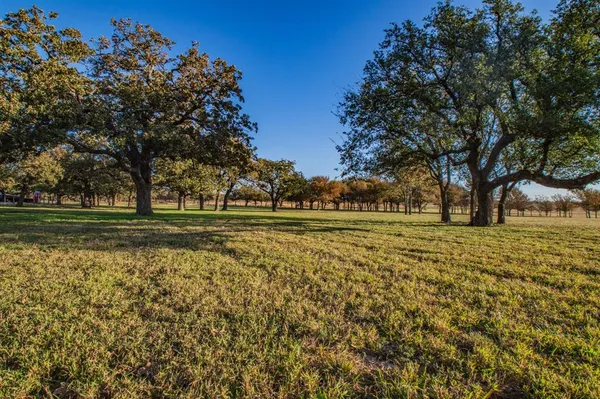 a view of green field