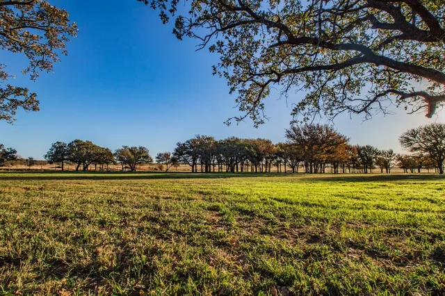 a view of a large yard