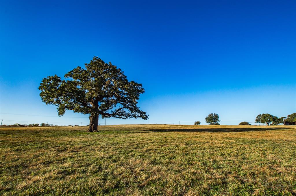 10540 Highway 281 Perrin, TX 76486 - Photo 17 of 27 a view of a lake