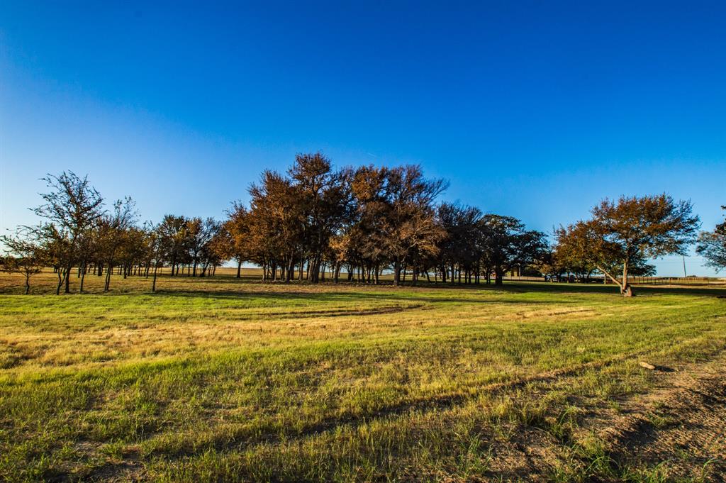 10540 Highway 281 Perrin, TX 76486 - Photo 18 of 27