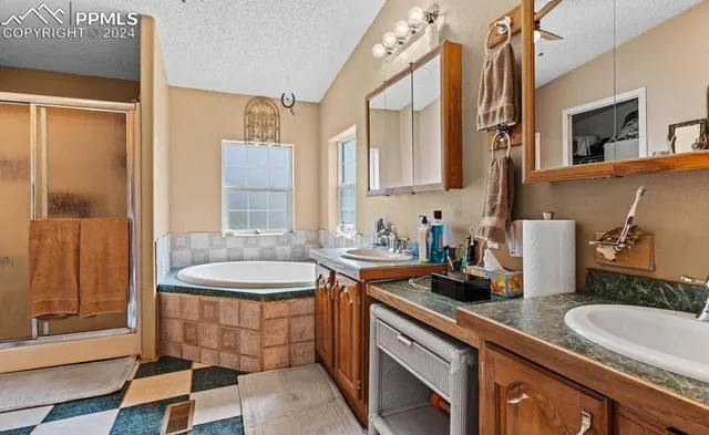 a bathroom with a double vanity sink a mirror and a shower