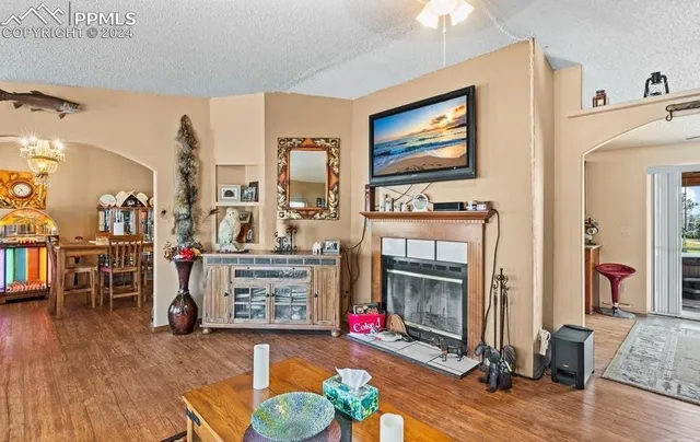 a living room with furniture and a fireplace