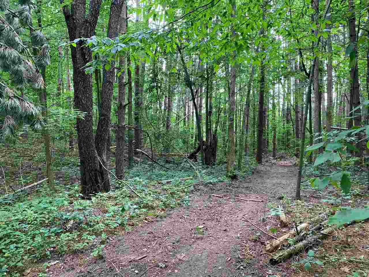0 Linden Road Fenton, MI 48430 - Photo 4 of 6
