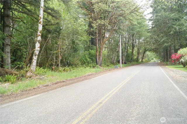 a view of a road with a trees