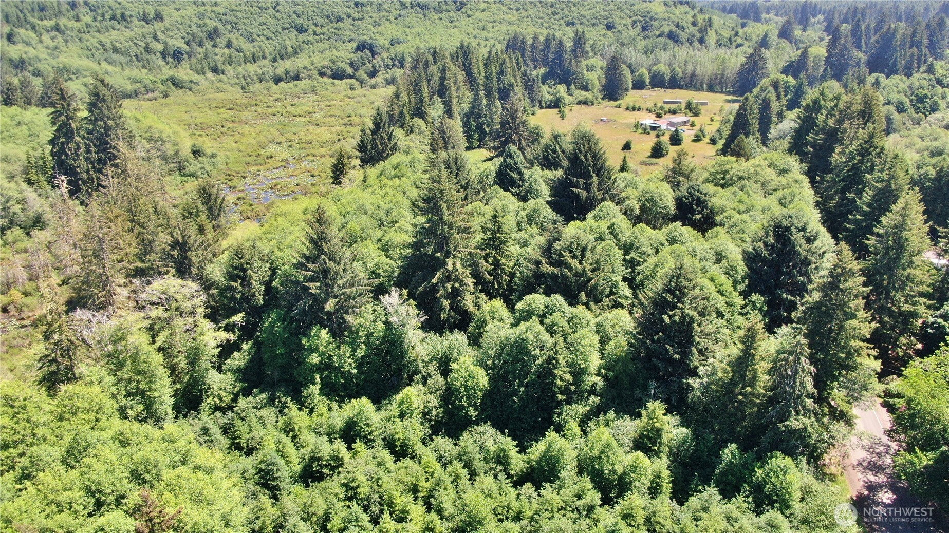 -nka North River Road Cosmopolis, WA 98537 - Photo 13 of 14