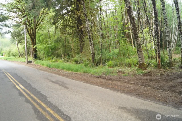 a view of a yard with a trees