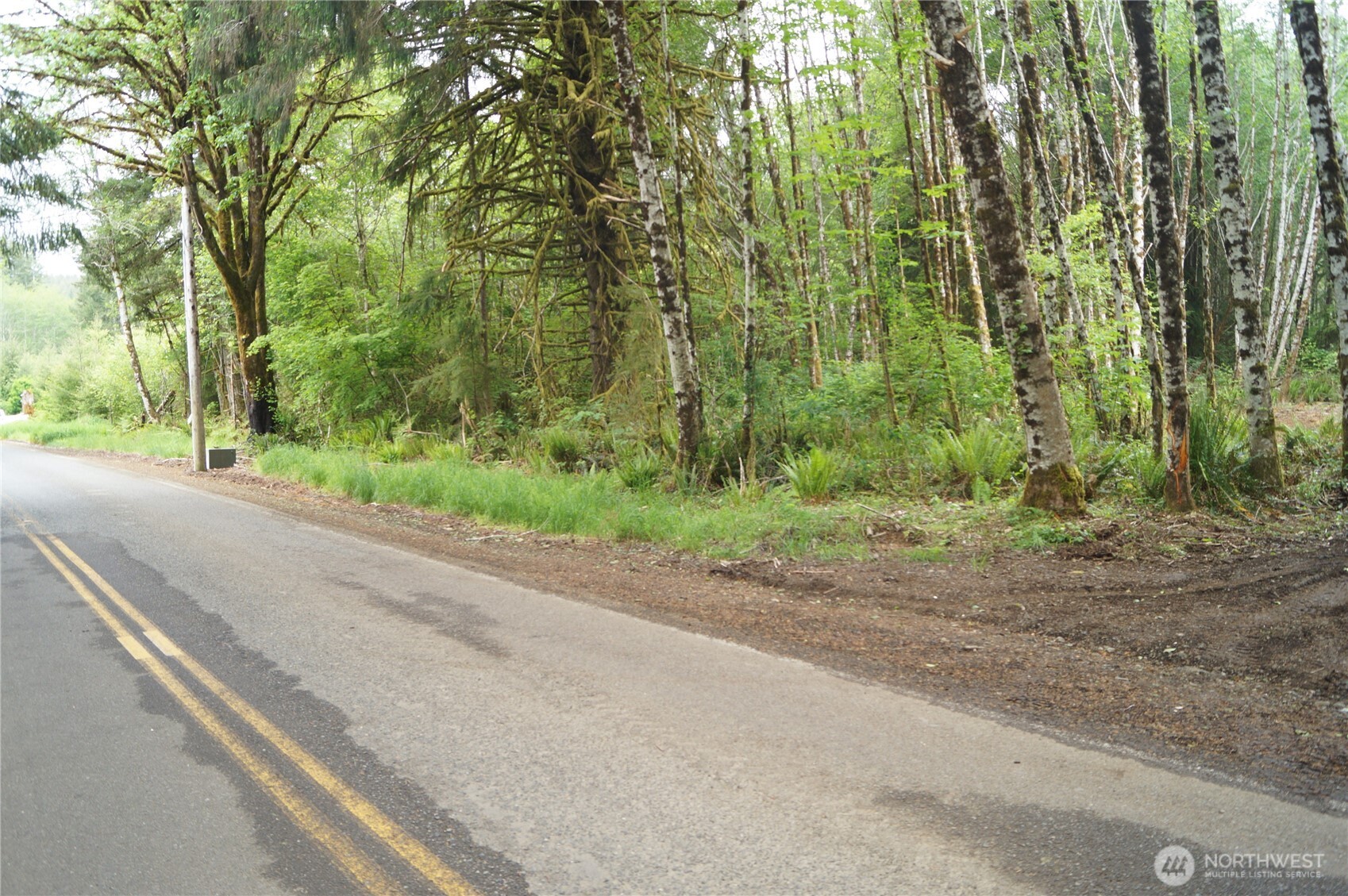-nka North River Road Cosmopolis, WA 98537 - Photo 3 of 14