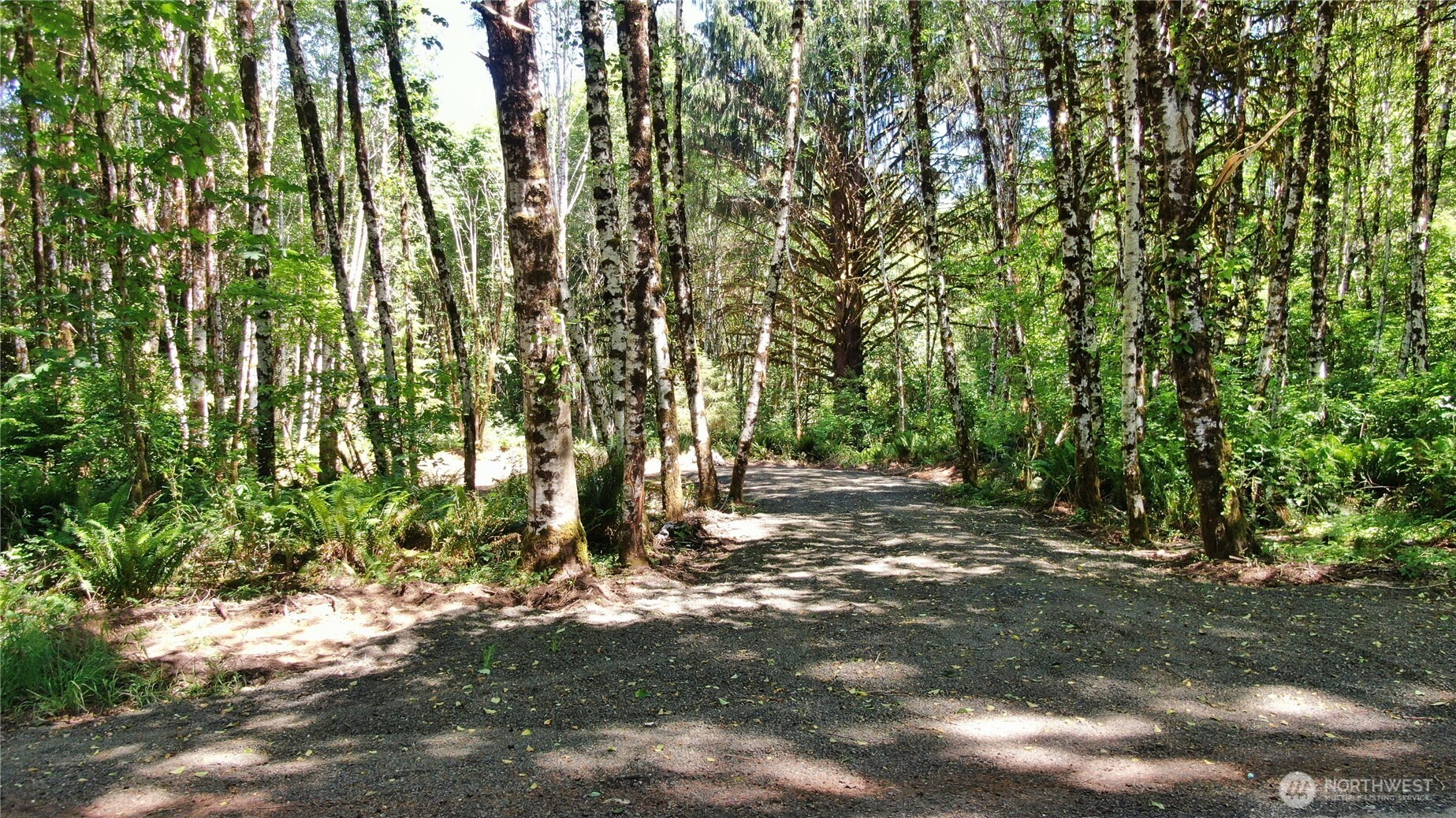 -nka North River Road Cosmopolis, WA 98537 - Photo 4 of 14