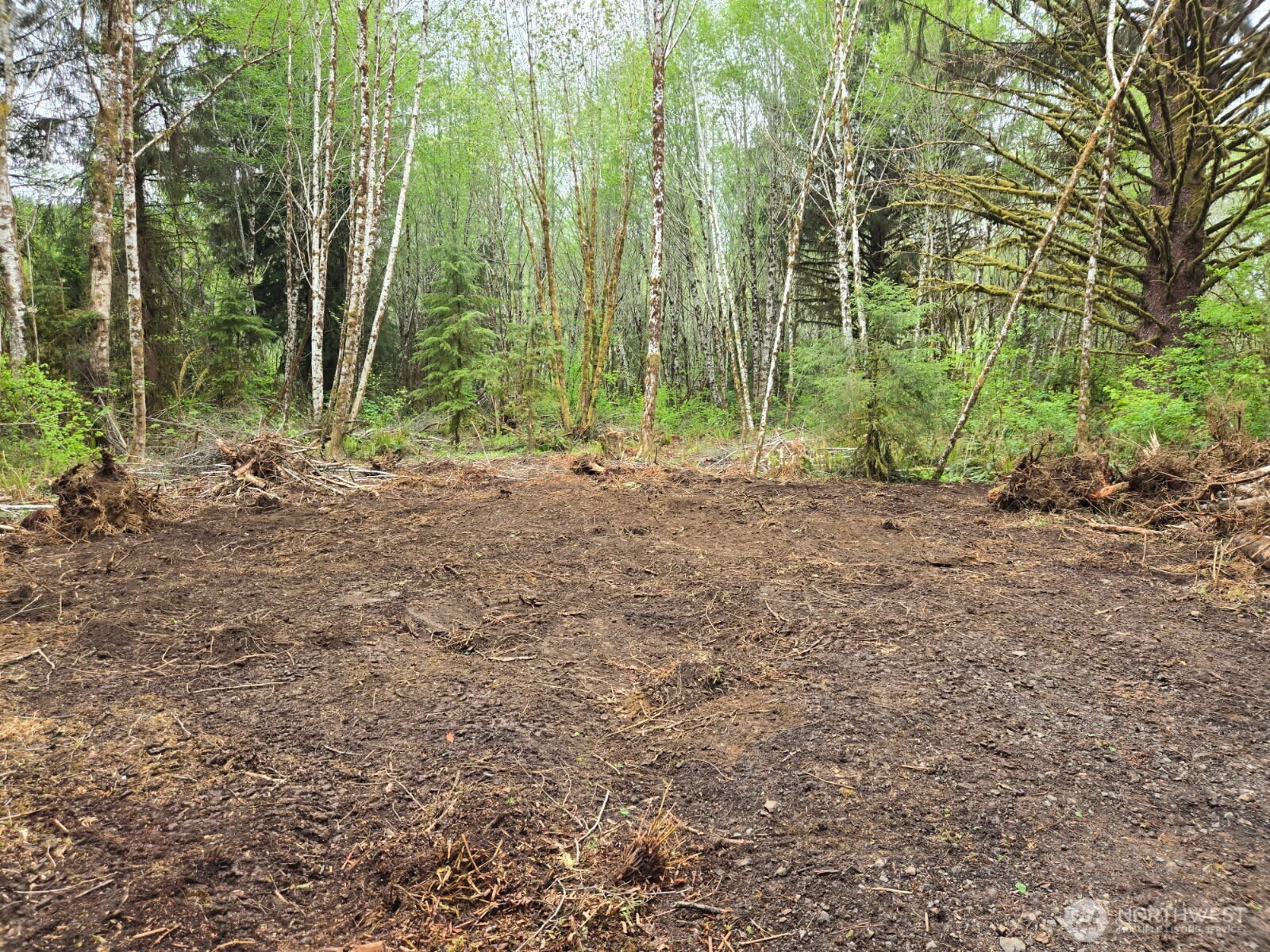 -nka North River Road Cosmopolis, WA 98537 - Photo 6 of 14
