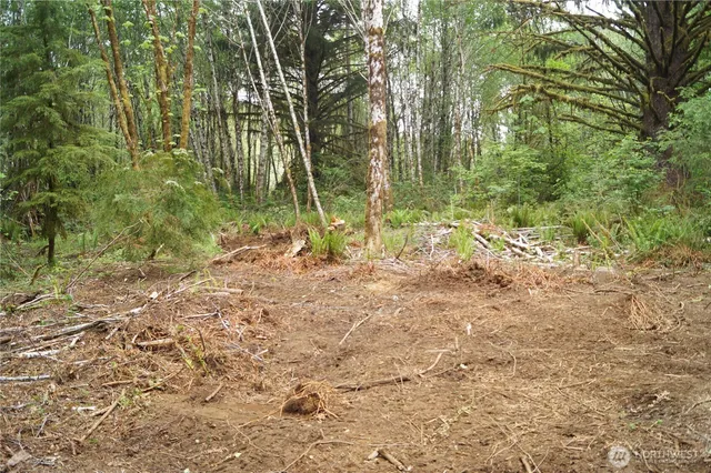 a view of backyard with green space